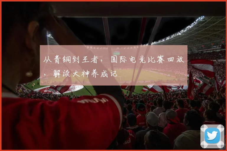 从青铜到王者,国际电竞比赛回放,解读大神养成记